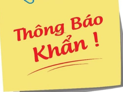 Thông báo nghỉ học ngày 29/01/2021